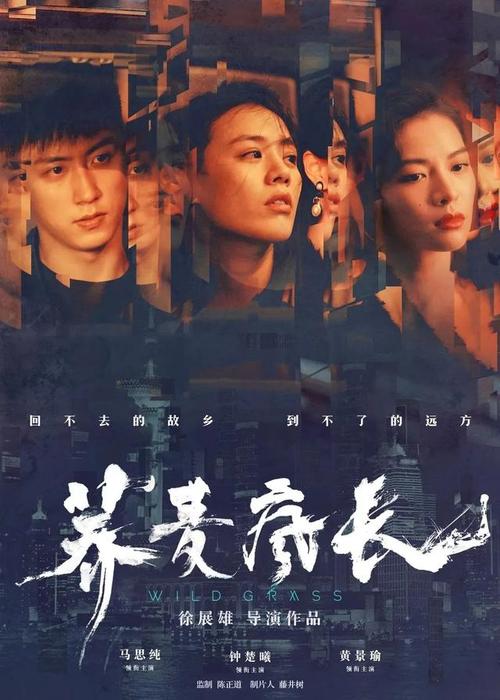 买印度阿萨姆邦驾驶执照